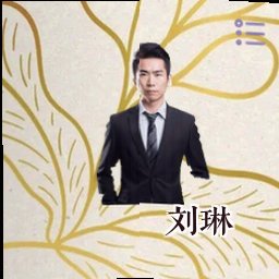 刘琳